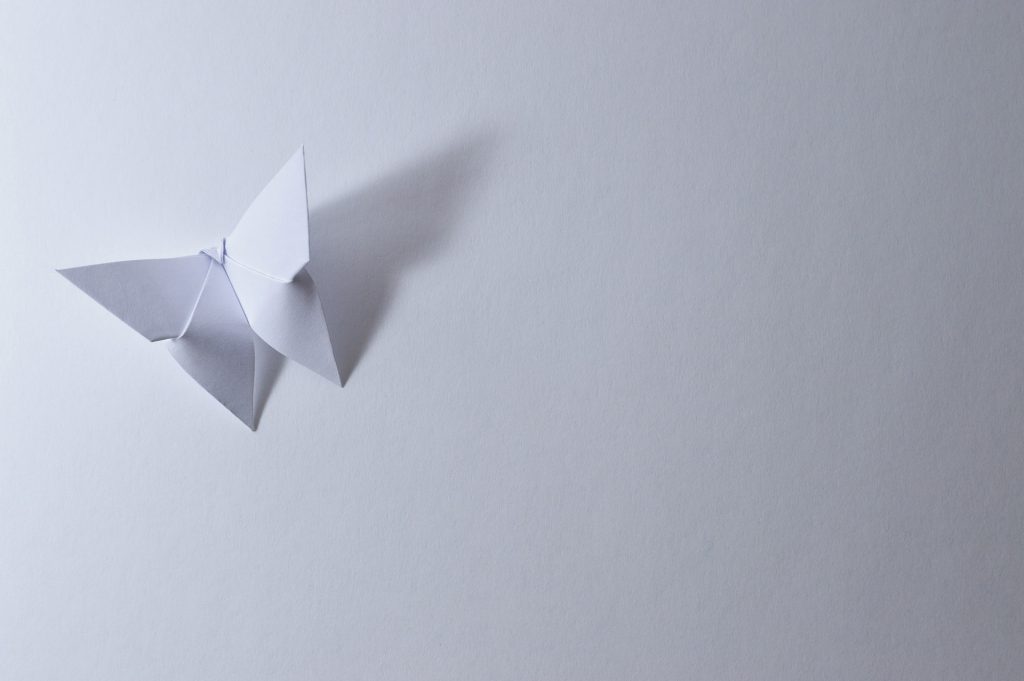 butterfly origami white paper