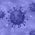COVID19 120x120 - Coronavirus - the international health systems