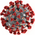 SARS Cov 2 120x120 - Vinny Virus Teil 2: Wo Vinny Virus wohnt, und wie Viren verreisen